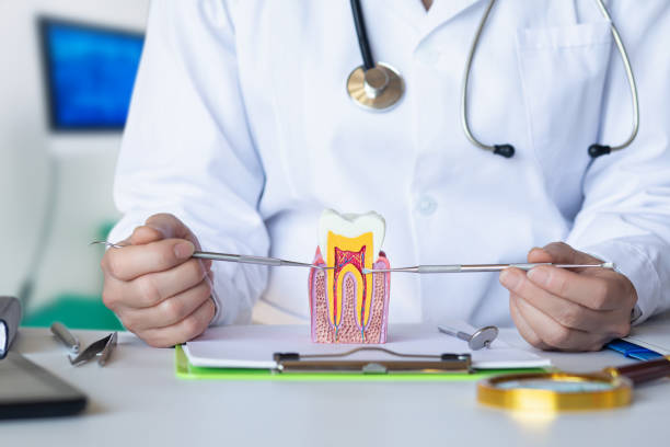 Best Emergency Care for Gum Disease in Theresa, WI